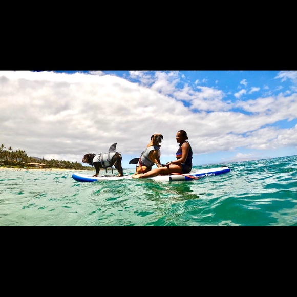 ***********MAKE OFFER******** - Picture 3 of 4